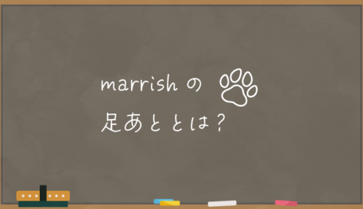 【marrish】マリッシュの足あととは？